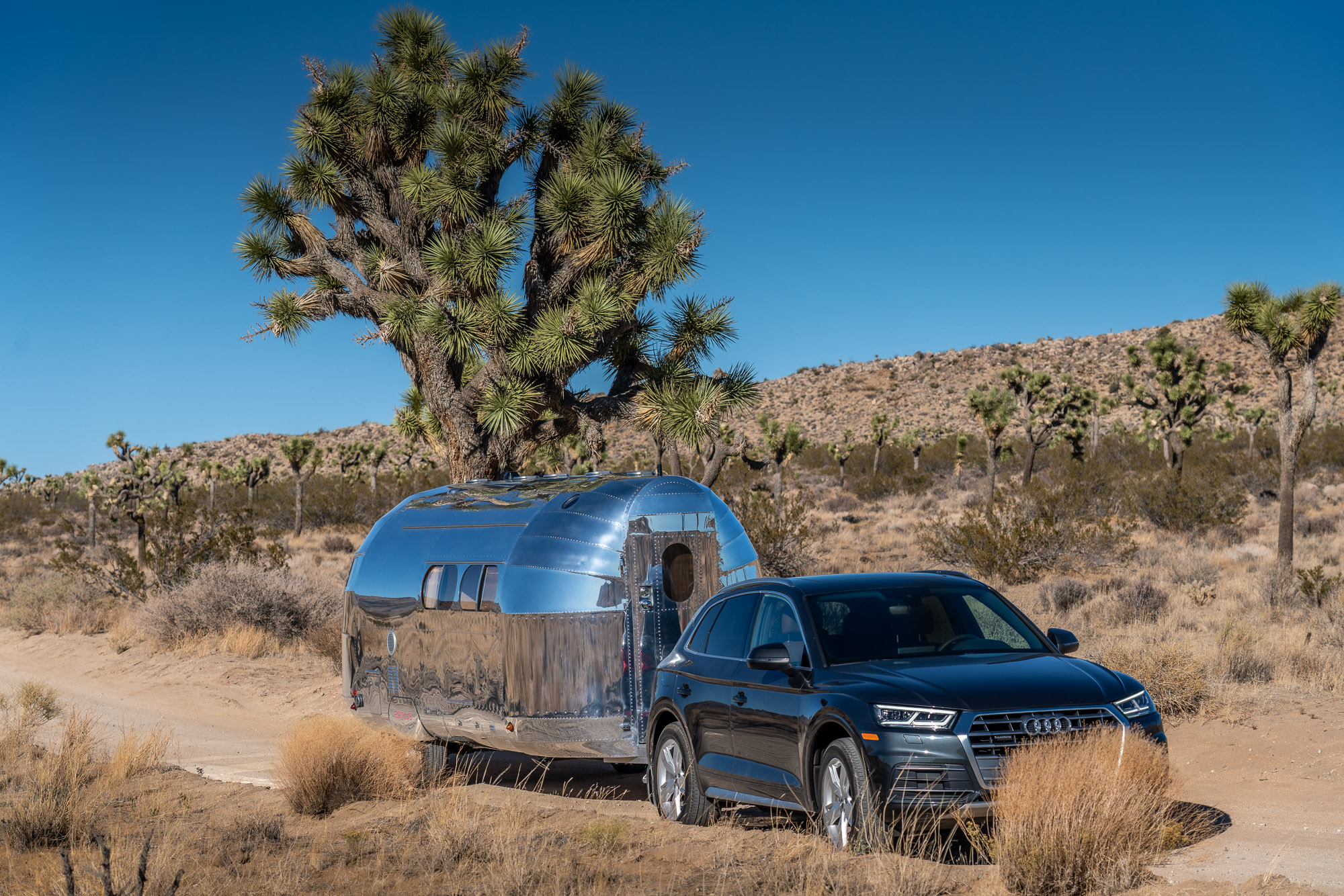 Bowlus is Built for Luxurious Off Grid Adventures